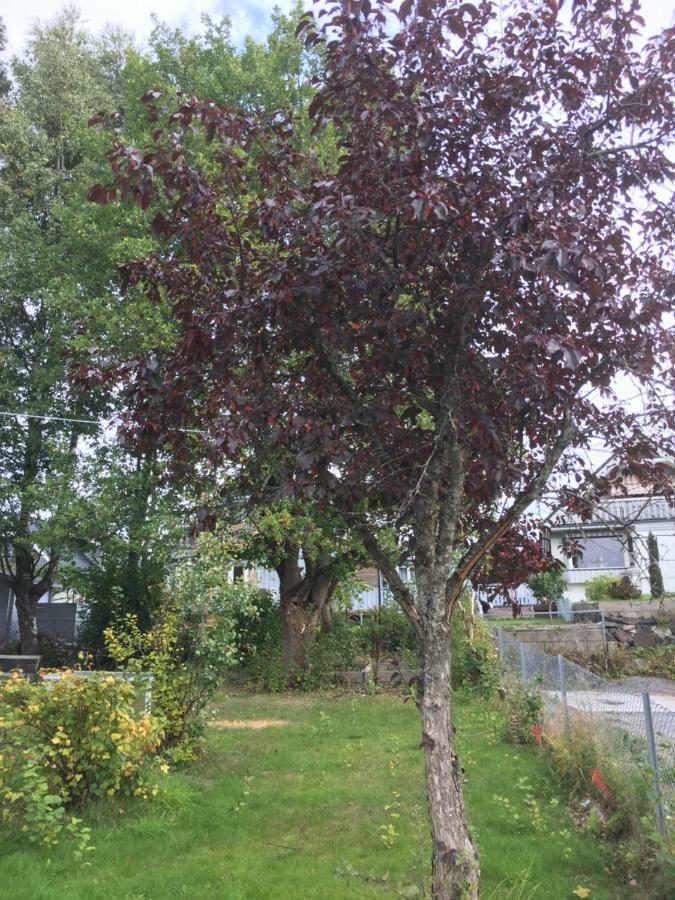 Skarer Veie 58 Appartement Lorenskog Buitenkant foto